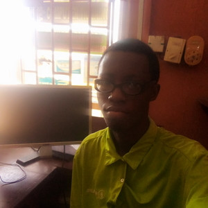 Olanisimi - Microsoft Excel teacher - Lagos