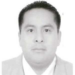 Andres - Profesor de informática - Villahermosa