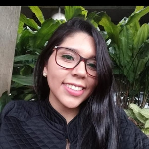 Ágatha Christie - Professor de iniciação à informática - 