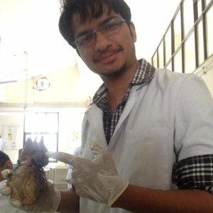 Akash - Biology teacher - Gurugram