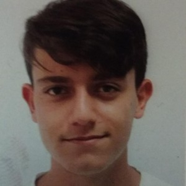 Raúl - Profe de matemáticas - Madrid