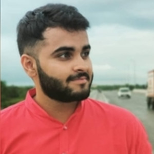 Piyush - Accounting tutor - Mumbai