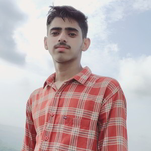 Vishal - Accounting tutor - Hisar