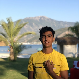 Faris - Physics tutor - Harrow