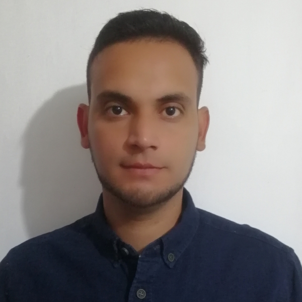 Junior - Profesor de ayuda con las tareas - Quillota
