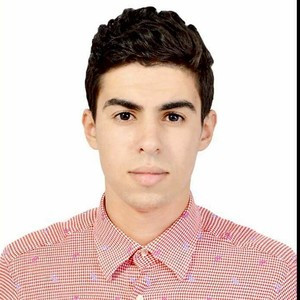 Hamza - Prof de maths - Toulouse