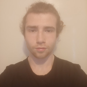 Vitold - Maths tutor - Glendalough
