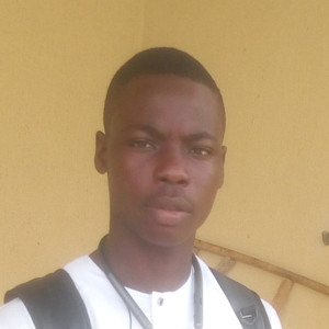 Obaro - Academic tutoring tutor - Ilorin