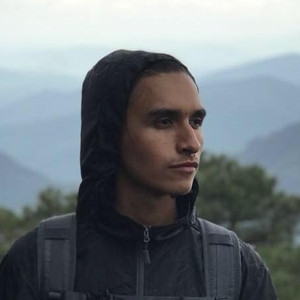 Alexis - profesor de programación - Cuautla