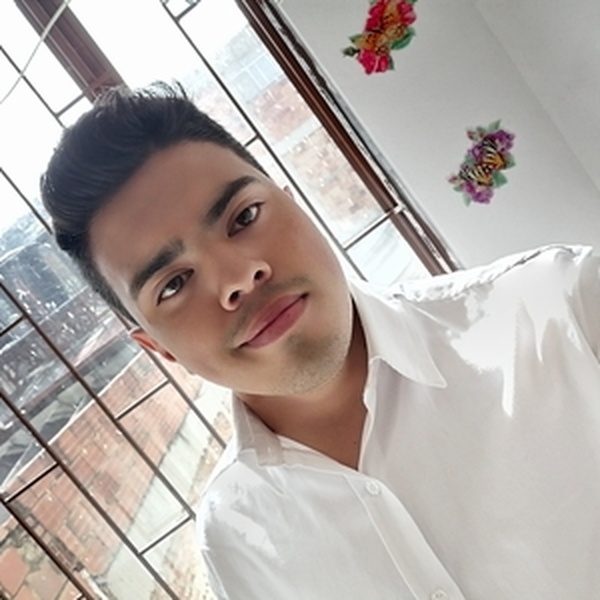 Daniel - Profe de apoyo escolar - Bogotá