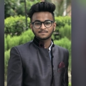 Shubham - Accounting tutor - Delhi