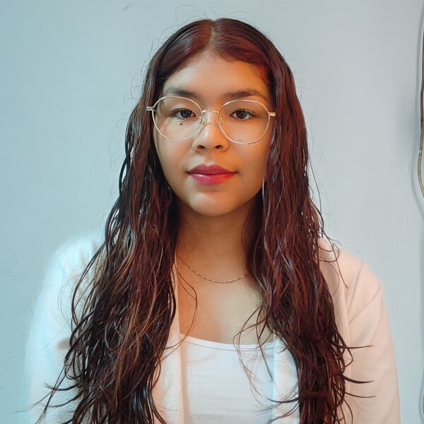 Esmeralda - profesor de matemáticas - Calama