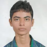 Meraj - Maths tutor - 