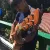 Dikshant - Guitar tutor - Siliguri