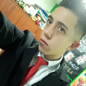 Dilan Nicolas - Profe de matemáticas - Bogotá