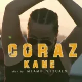 Kane - entrenador vocal - Madrid
