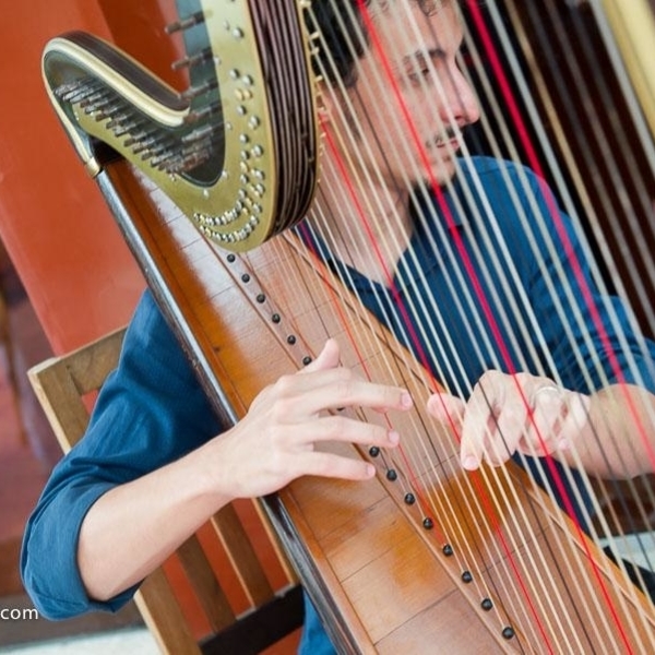 Harp classes in Niterói RJ graduated teacher at UFRJ (Celtic Harp and Pedal Harp)