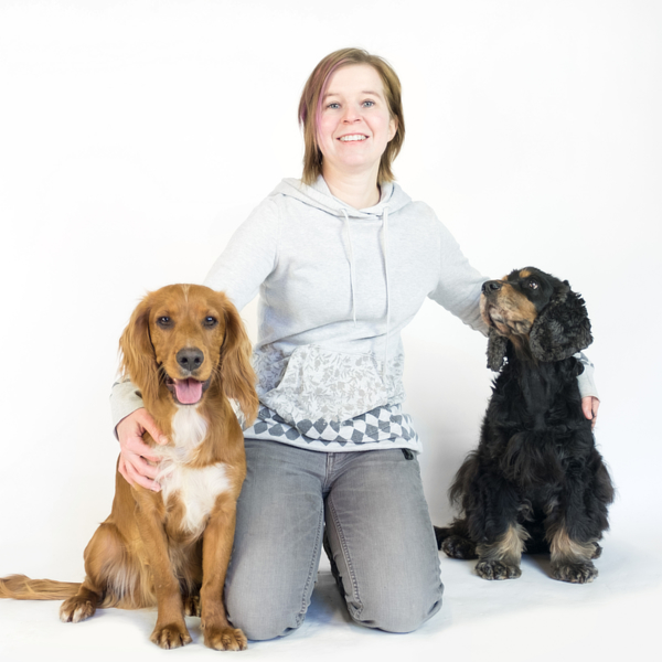 Dog trainer with more than 10 years experience. Will teach you more about Recall, Obedience, Tricks et cetera.