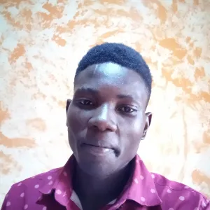Adebayo - Basic computer skills tutor - Ibadan