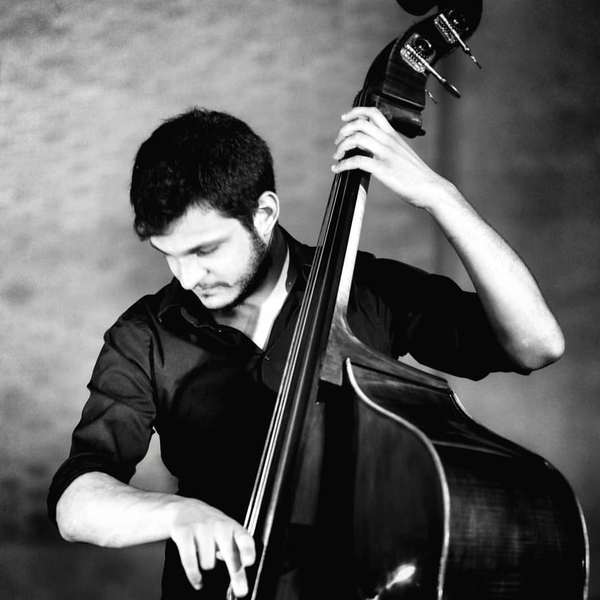 Bassista e contrabbassista di Ferrara offre lezioni individuali di strumento e teoria