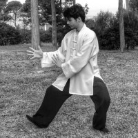 Kung Fu, Taijiquan e Qi Gong. Sessioni private o di gruppo. Lezioni a domicilio o online. Prima lezione offerta!