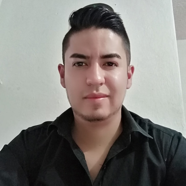 Estudiante de ingeniería civil de la Universidad Nacional Autónoma de México, FES Acatlán