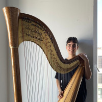 Arpista de Donosti da clases de instrumento, lenguaje musical, armonía, análisis. Hablo euskera.