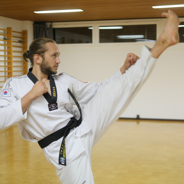 Self-défense, Taekwondo (3ème dan) et Hapkido (2ème dan). Cours sur Lausanne et environs.