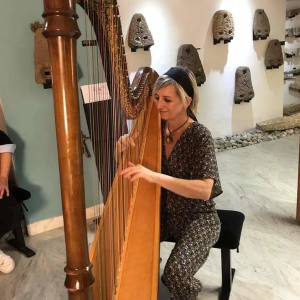 Professeur concertiste donne cours piano harpe autour de vendemian ,domicile , stage