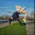 Tom - Prof de danse - Villenave-d'Ornon
