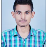 Vikash - Mathematics tutor - Rajapur