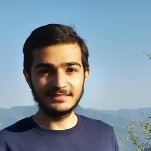 Shauryan - Physics tutor - Shimla