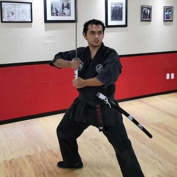 Instructor de artes marciales: Ninjutsu y Kickboxing enfocados a la defensa personal y acondicionamiento físico.