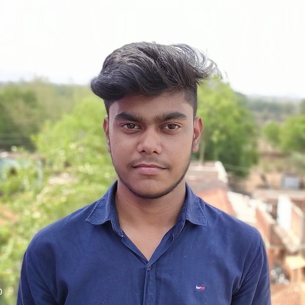 Student of NIT Shibpur (department of Information Technology), cracked JEE Main and Advanced(2019)