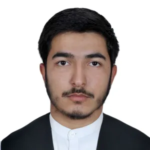 Sayed Arif Sayedi - Accounting tutor - Bengaluru