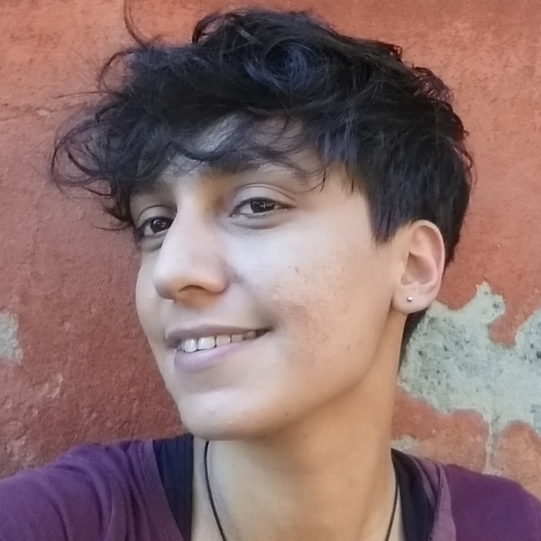 Studentessa di Scienze della Formazione si propone per aiuto compiti a Bologna, anche online.