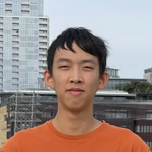 Tony - French Language WASSCE Preparation tutor - Sugar Land