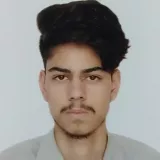 Inam - Physics tutor - Aligarh