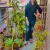 Disha - Personal coaching tutor - Ghaziabad