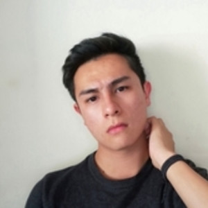 Abiram - Profesor de excel - Apan