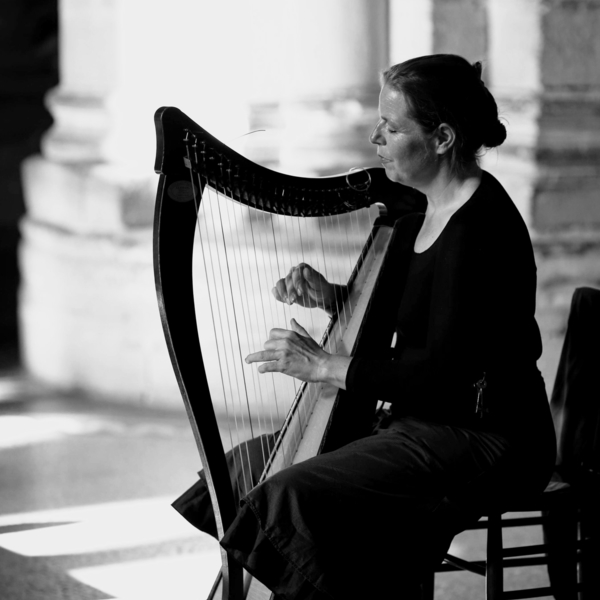 Harp, piano and harp teacher with over 15 years of experience helping students with theory, performance and instrumental lessons.