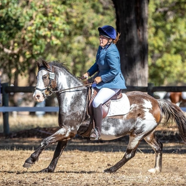 Riding enthusiast ready to assist students with their posture and technique in Perth