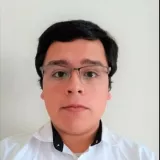 Luis - Profesor de matemática - Pitrufquén