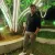 Mohammed - Commerce tutor - Chennai