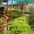 Phalguni - Personal trainer - Jaipur
