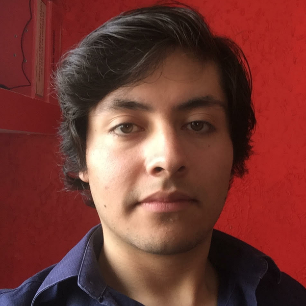 Estudiante de ingeniería da clases de matemáticas e inglés nivel primaria y secundaria en Pachuca de Soto