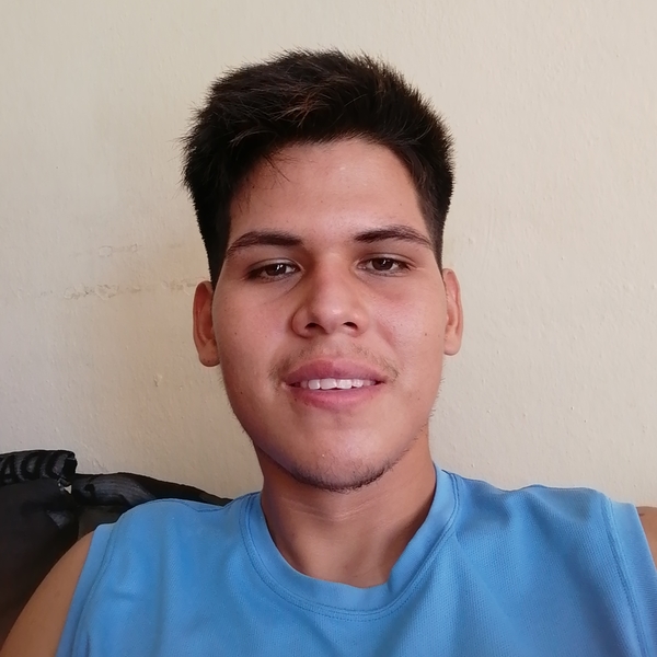 Estudiante de Ing. en Tecnología ambiental con inglés intermedio da clases de inglés básico en Mazatlán y sus alrededores