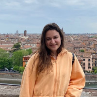 University Student from Italy who graduated from an Italian high school with a grade of 100/100 teaches Italian for all levels. Based in Manchester but can also teach online.