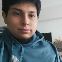 Estudiante de ingeniería en Computación UNAM, doy clases de regularización de matemáticas y programación en C y SQL (Oracle)
