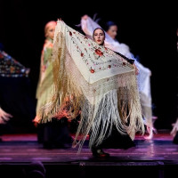 Bailaora cursando APDE carrera de Flamenco y danza Española da clases de flamenco y Sevillanas en Madrid.